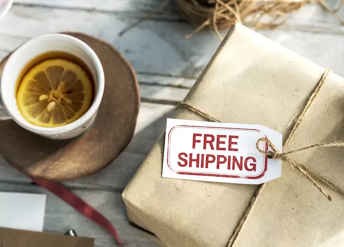 Govee Free Shipping